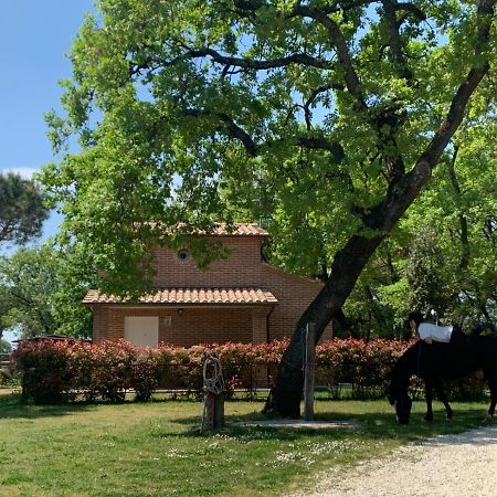 הוילה קאסטיגליונה דל לאגו Casina Miriano מראה חיצוני תמונה