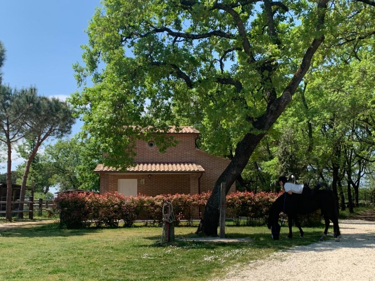 הוילה קאסטיגליונה דל לאגו Casina Miriano מראה חיצוני תמונה