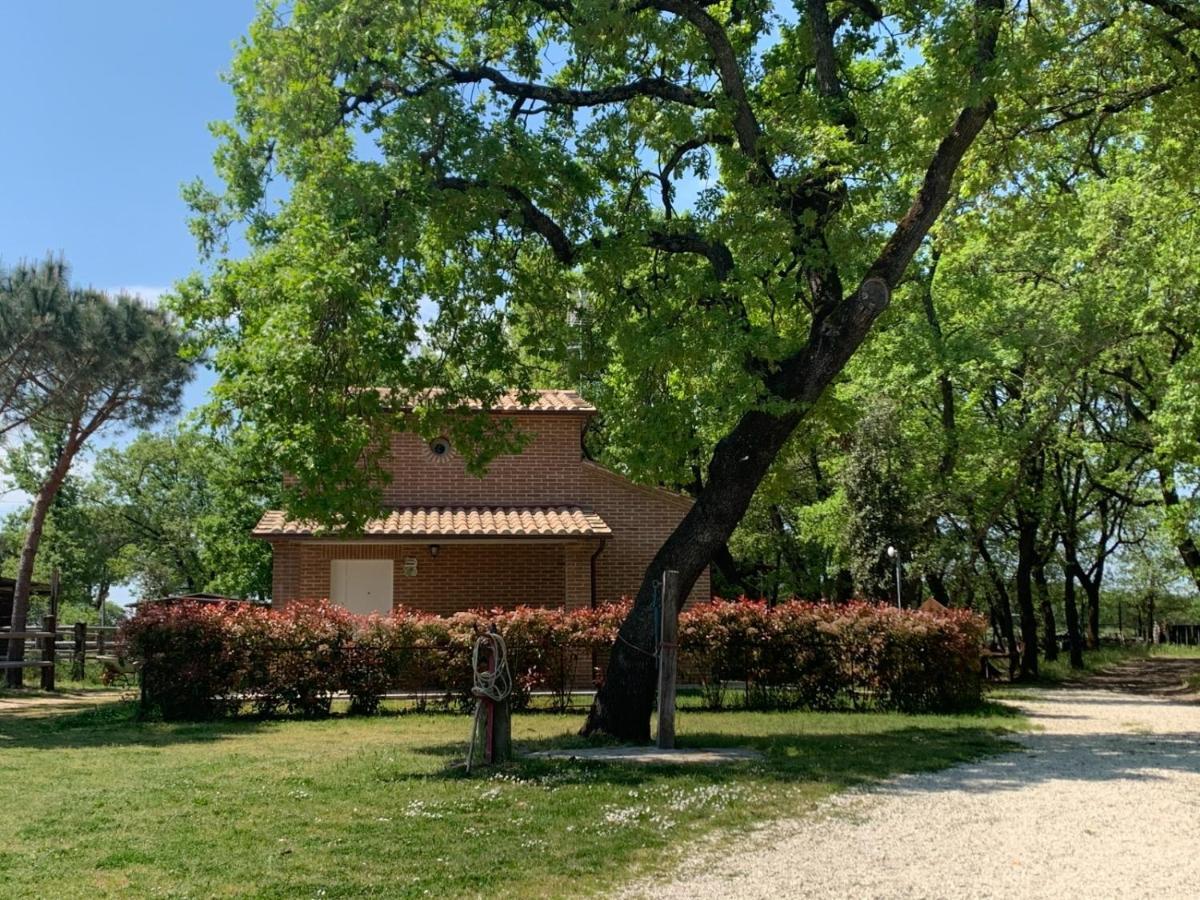 הוילה קאסטיגליונה דל לאגו Casina Miriano מראה חיצוני תמונה